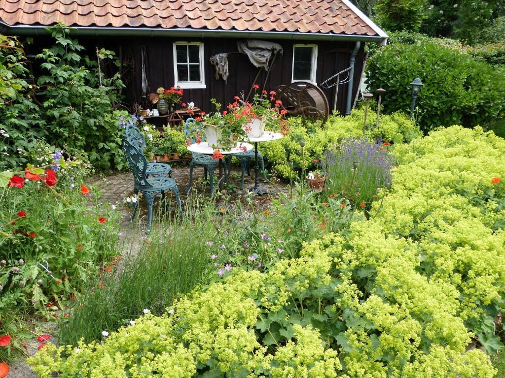 B&B En Appartementen Triente Buinen Kültér fotó